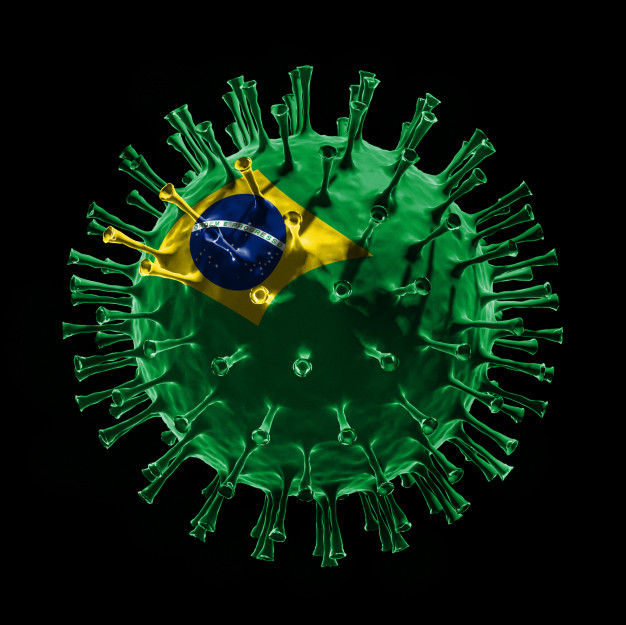 Read more about the article Constituição Federal foi contaminada pelo COVID