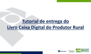 Read more about the article Tudo o que você precisa saber sobre a entrega LCDPR