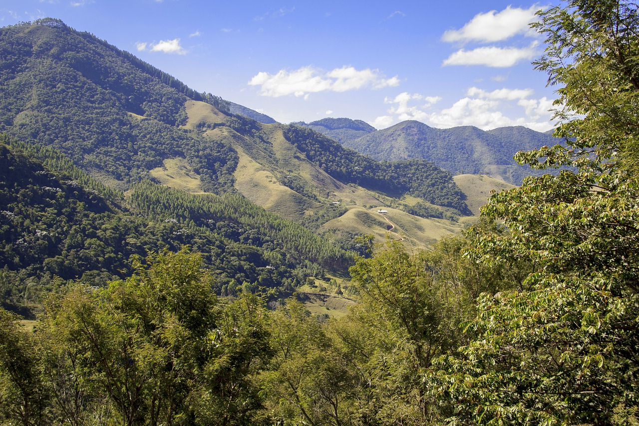 Read more about the article Regime Especial de ICMS MINAS GERAIS