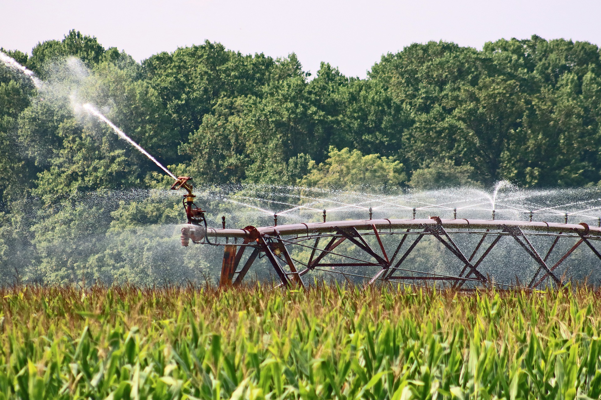 Read more about the article Obtenha incentivos ficais para REIDI irrigação
