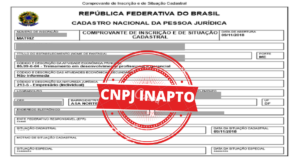 Read more about the article INAPTIDÃO DECLARADA PELO FISCO É BICHO DE 7 CABEÇAS?