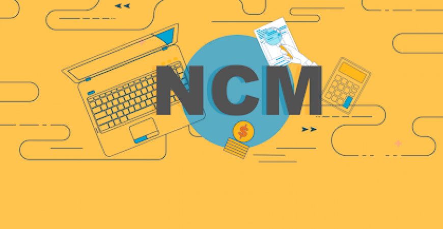 Read more about the article NCM: saiba como classificar a mercadoria