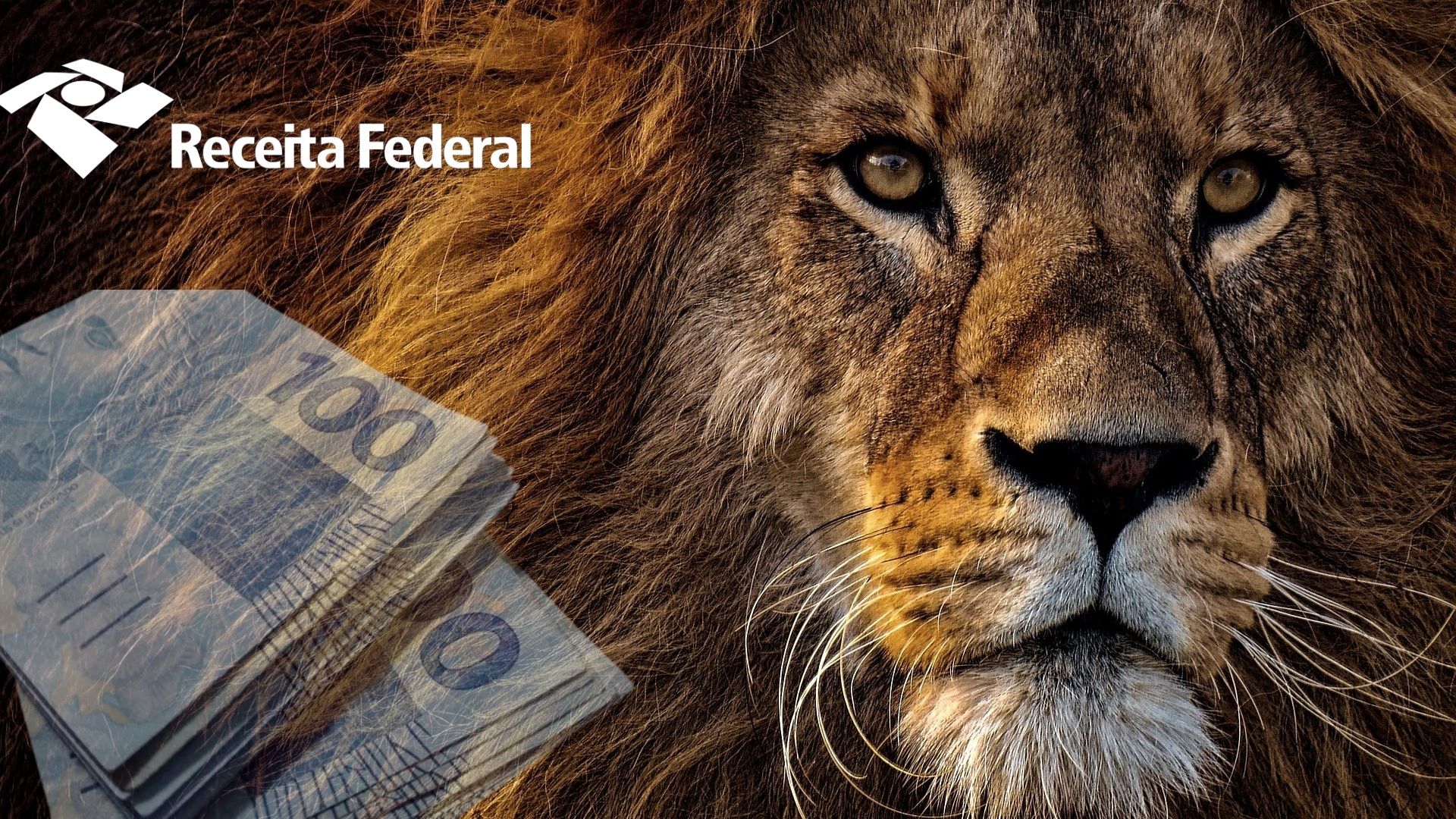 Read more about the article Prazo de entrega da declaração do imposto de renda 2023