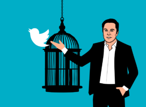 Read more about the article A novela da desastrosa compra do Twitter por Elon Musk