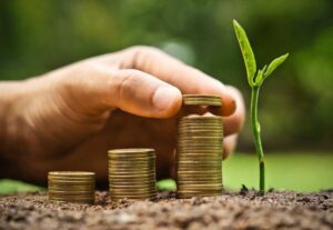 Read more about the article BC define como instituições devem registrar créditos de carbono