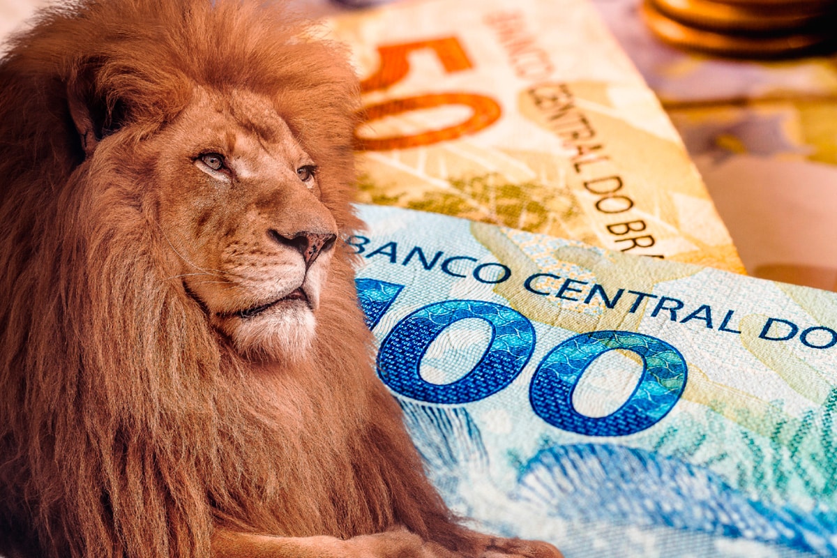 Read more about the article Imposto de Renda 2023: confira o que mudou