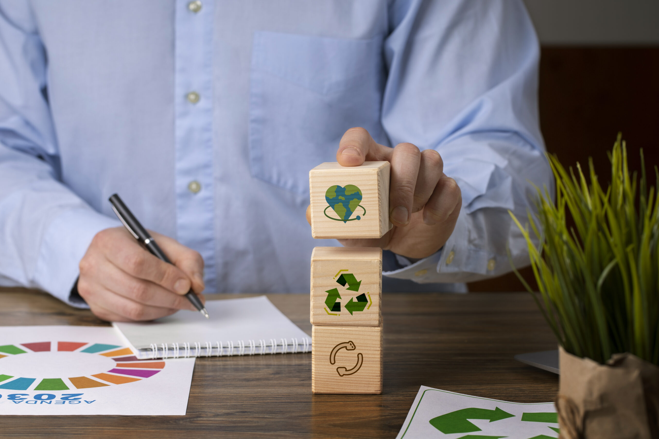 Read more about the article A contabilização de ativos ambientais: um caminho para a sustentabilidade financeira